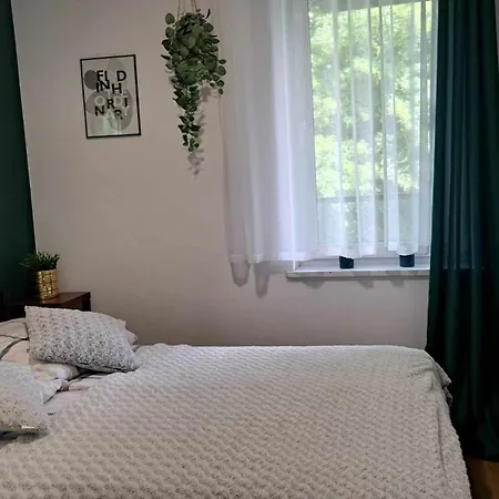 310 Apartment *
