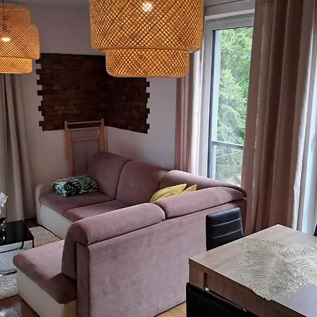 Apartment 310