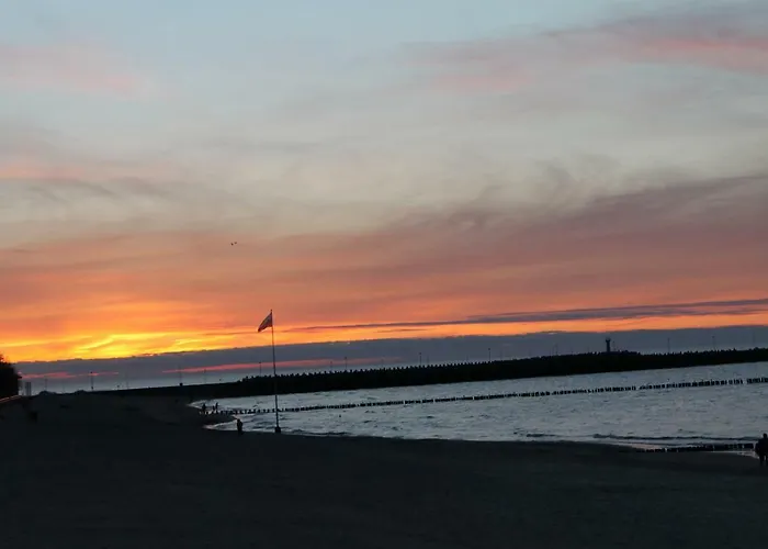 310 Апартаменты *